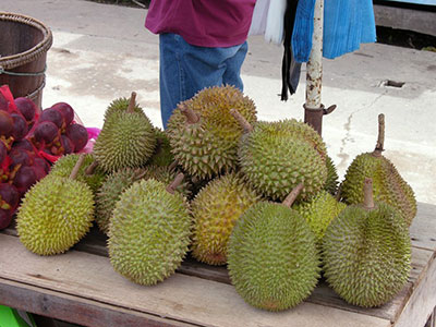 Fruit market Durian